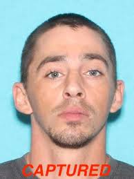 Arrests/Solved Crimes