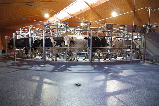 Agricultural Flooring