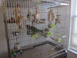 Stainless Steel Welded Mesh Cage For Rabbit Bird Stainless Steel Welding Wire Mesh Fence Steel