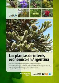 Image result for Megalochlamys hamata