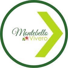 Vivero Montebello Los Mochis Home Facebook