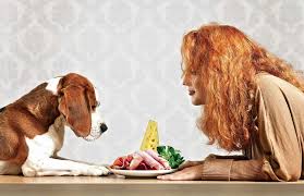 Especially with the smell of fresh cooked meat and vegetables, filling the air. The Dos And Don Ts Of Feeding Human Foods To Dogs Animal Wellness Magazine