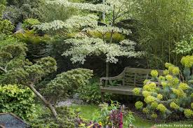 Avant Apres Un Jardin Mille Univers Jardins Idees Jardin Jardin Massif
