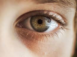 Usually pups will have a bit of a blue haze over their eyes so don't mistake this for blindness. What Do Blind People See Facts And Research