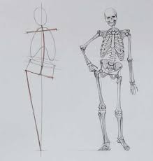 The back curves around the pillar to the right and the line from the chin continues into the left arm, which bends at the elbow and ends in simple lines to represent fingers. Human Body Skeleton Anatomy Course For Artists