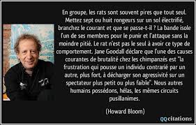 Les rats attaquent joyeusement et le sang coule, mais le compte n'y est pas. En Groupe Les Rats Sont Souvent Pires Que Tout Seul Mettez Sept Ou Huit Rongeurs Sur Un Sol Electrifie Branchez Le