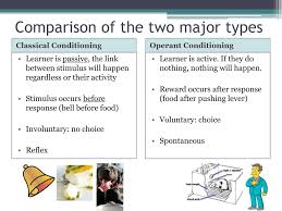 Classical And Operant Conditioning Worksheet Printable Worksheets And Activities For Teachers Parents Tutors And Homeschool Families