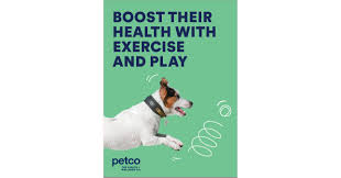 Our pet adoption tool is easy to use and will help you locate cats and dogs for adoption from pet adoption centers in your area. Petco Encourages Healthy Summer Habits For Pets Shares Essential Tips To Enhance Their Exercise Routine And Whole Health