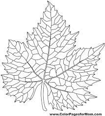 9 beautiful and free printable animal adult coloring pages. Pin On All Things Coloring