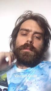 Vincent Gallo Dm Responses