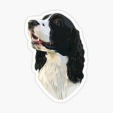 They make excellent family companions and are proven performers in the filed. English Springer Spaniel Gifts Merchandise Redbubble