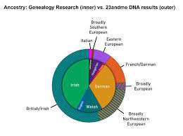 Data Visualization My Ancestry Comparing My Genealogy