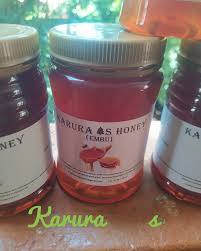 Image result for Terminalia kilimandscharica