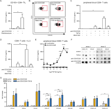 Tgf B Induced Cxcl13 In Cd8 T Cells Is Associated With Tertiary Lymphoid Structures In Cancer Biorxiv