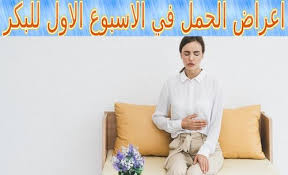 pin on الحمل