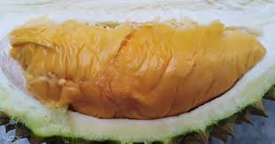 The agricultural town of balik pulau was established in 1794 by the british east india company. Durian Tasting Orchard Tour In Penang