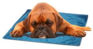 Amazon Com New Improved Cool Pet Pad Extra Large 45 X27 5 Pet Bed Mats Pet Supplies