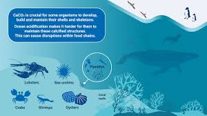 نتیجه جستجوی لغت [acidify] در گوگل