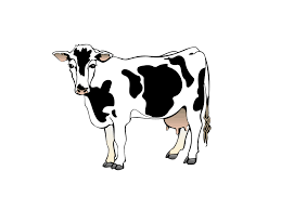 Cow Animated Gif Animated Cow Cow Clipart Cow Pictures Pikbest has 1442 cow png design images templates for free. cow animated gif animated cow cow