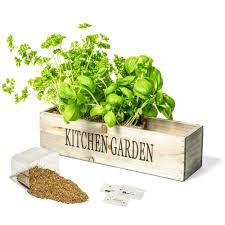 With its clean lines, and classic design, the 15 in. Kitchen Herb Garden Kit Windowsill Window Box Planter With Seeds Buy Online In United Arab Emirates At Desertcart Ae Productid 48123000