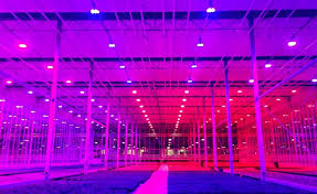 Maybe you would like to learn more about one of these? Full Spectrum Led Grow Lights The Truth You Need To Know Lumigrow
