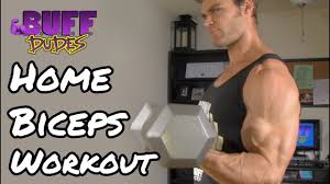 arms biceps dumbbell exercises