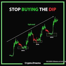 For More House Of Crypto Learn To Trade Bitcoin With House Of Crypto There Is A Common Misconception Of Buying The Dip Financial Advice Bitcoin Bitcoin Value