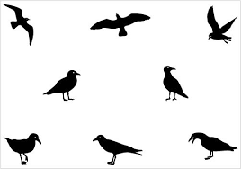 Seagull Silhouette Clip Art Vector Silhouette Art Silhouette Vector Silhouette Clip Art