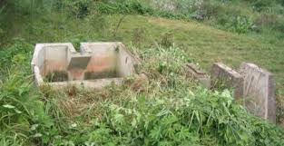 Mungkin saat ini kalian sedang merasa kesedihan, dan ingin mengungkapkannya lewat gambar. Sejarah Kopi Di Dunia Dan Indonesia