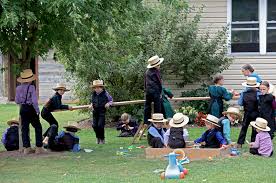 Everything You Want to Know About: Types of Amish – TIMBER TO TABLE