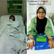 We did not find results for: Maxxima Nutrition Testimoni Cellmaxx Kanser Rahim Tahap 4