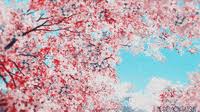 Maybe you would like to learn more about one of these? Bird Sakura Sticker By Zusetsu For Ios Android Giphy