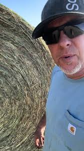 Phill Miller Livestock