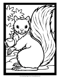 Cute squirrel coloring page for kids. Squirrel Coloring Page Free Printable Pdf From Primarygames