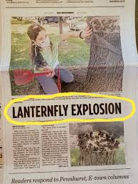 Welcome to dominion pest solutions. Dominion Pest Control Llc Lancaster York Pa Today S Sunday News It S Gonna Get Bad Folks No Kidding If You Like Your Trees Inspect Them We Are Gonna Be Busy