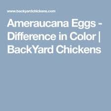 Egg Color Chart Find Out What Egg Color Your Breed Lays