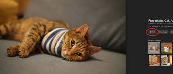 Information on how to search Google for Creative Commons images