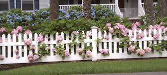 Landscape Update Inspiration Photos Picket Fence Garden White Picket Fence Backyard Fences