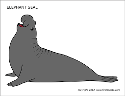 Spots or rings are numerous on the in some areas, such as san francisco bay, a number of harbor seals have a red or rust coloration from iron oxide deposits on their fur. Elephant Seal Free Printable Templates Coloring Pages Firstpalette Com