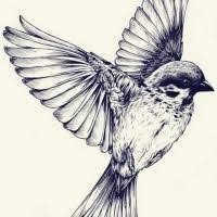 Check spelling or type a new query. Realistic Tattoo Designs Page 7 Tattooimages Biz