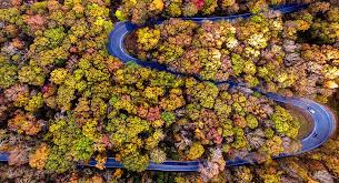 Check spelling or type a new query. 5 Best Fall Drives Through The Ozarks