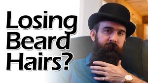 Some distinguishable features of my hair loss are that my beard and body hair only have one hair per follicle, a lot of hairs remain as very short stubble and do not grow, eyebrows experience. Are You Losing Beard Hairs Youtube