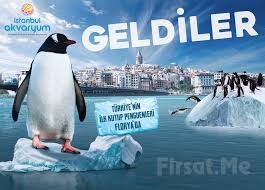 Kupon 10 Tl Istanbul Akvaryum Indirim Kodu