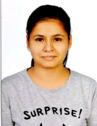 Bhartiya Vidya Mandir School Ludhiana