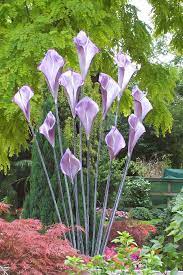 These are fantastic garden features for both domestic and commercial outdoor spaces. Michelle Parker England Blacksmith Artist Garden Art Sculptures Garden Art Steel Flowers