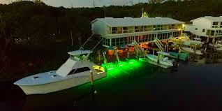 Best bait for saltwater fishing. How Fishing Lights And Dock Lights Attract Fish Fishing Lights Etc