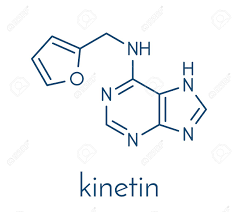 Maybe you would like to learn more about one of these? Kinetin N6 Furfuryladenine Plant Hormone Molecule Promotes Royalty Free Cliparts Vectors And Stock Illustration Image 87062677