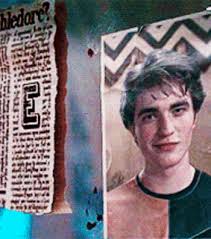 See more ideas about cedric diggory, cedric diggory aesthetic, harry potter fantastic beasts. Cedric Diggory Images On Favim Com