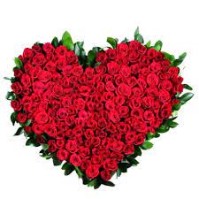 Ideale per san valentino, per gli anniversari o per dichiarare il proprio amore è una scelta classica e senza tempo le composizioni possono arrivare anche a 80 euro con il cestino, e 100 euro per il cuore di rose rosse. Composizione A Forma Di Cuore Con 500 Rose Rosse