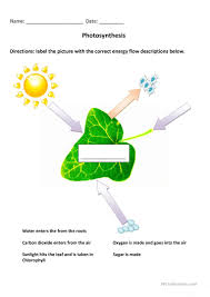 English Esl Photosynthesis Worksheets Most Downloaded 2